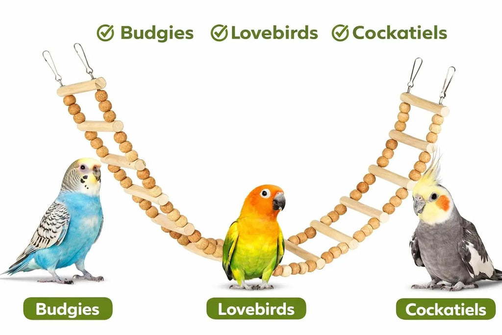 KSK Natural Wooden Bird Ladder Toy – 12 Step Hanging Climbing Bridge for Budgies, Lovebirds & Cockatiels | Chewable Perch Swing Cage Accessory for Small & Medium Parrots KSK ENTERPRISES