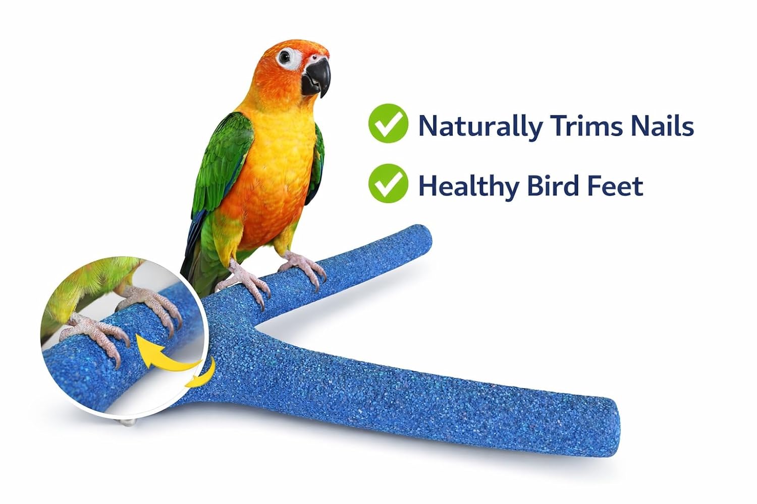 KSK Natural Wood Y Shape Sand Perch for Parrots 12 Inch – Nail & Beak Trimmer Bird Perch with Permanent Sand Coating, Parrot Cage Perch for African Grey, Cockatiel, Conure, Parakeet (Blue) KSK ENTERPRISES
