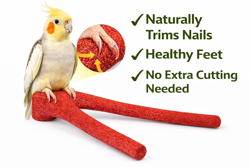 KSK Natural Wood Bird Perch 12 Inch Y Shape – Sand Coated Nail Trimming Perch for Parrots | Non-Slip Grip Round Platform for Cockatiel, Budgie, Conure, Lovebird | Cage Accessories (Red) KSK ENTERPRISES