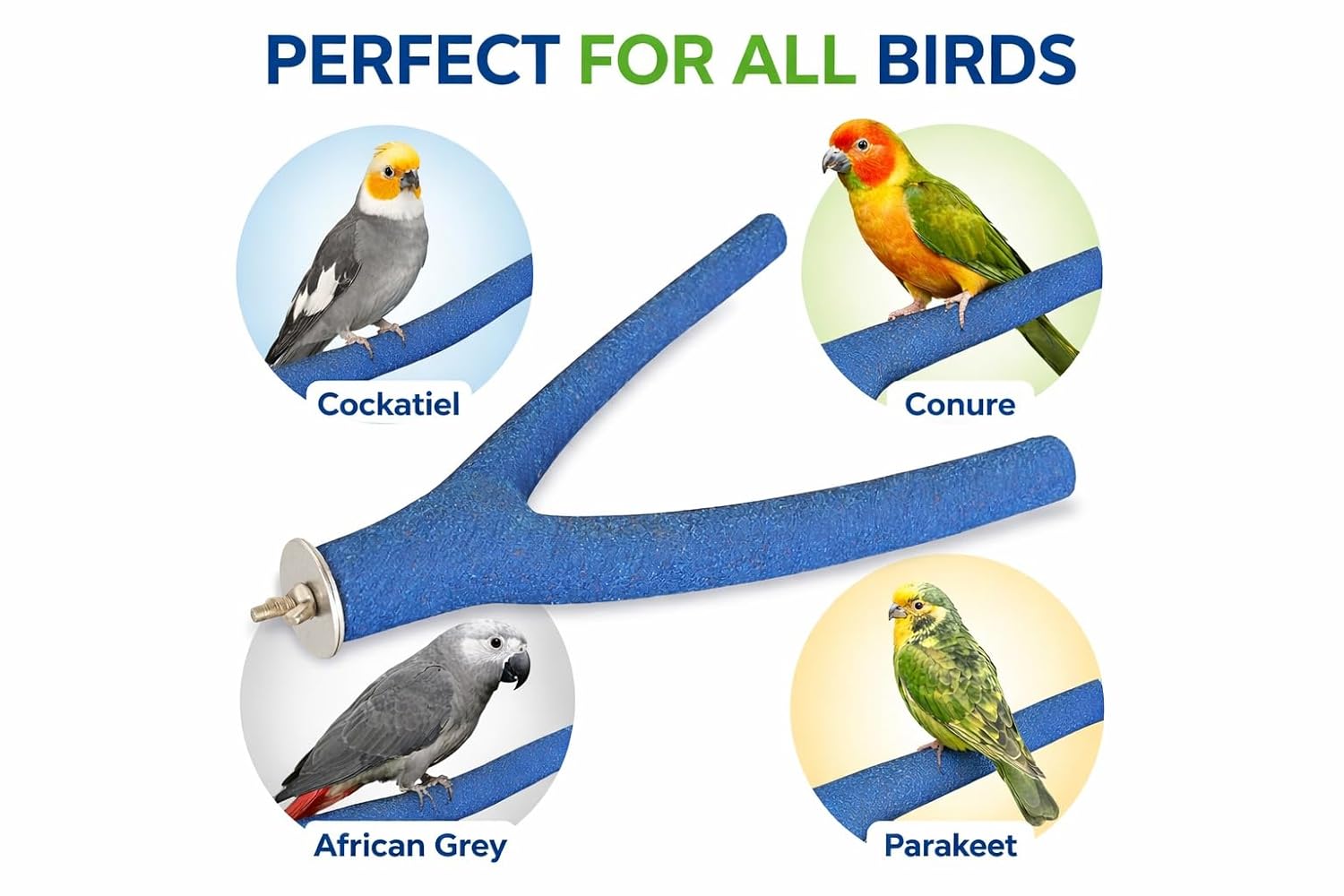 KSK Natural Wood Y Shape Sand Perch for Parrots 12 Inch – Nail & Beak Trimmer Bird Perch with Permanent Sand Coating, Parrot Cage Perch for African Grey, Cockatiel, Conure, Parakeet (Blue) KSK ENTERPRISES