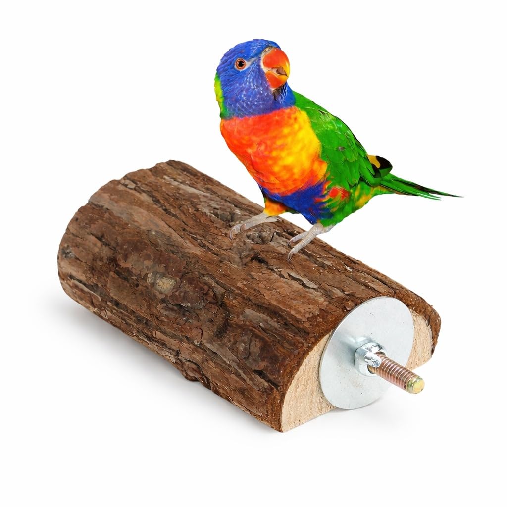 KSK Natural Wood Bird Perch for Cage Tree Branch, Rough Bark Texture, Easy Bolt Mount, Foot Health Support for Budgie, Lovebird, Cockatiel, Conure & Small Parrots KSK ENTERPRISES
