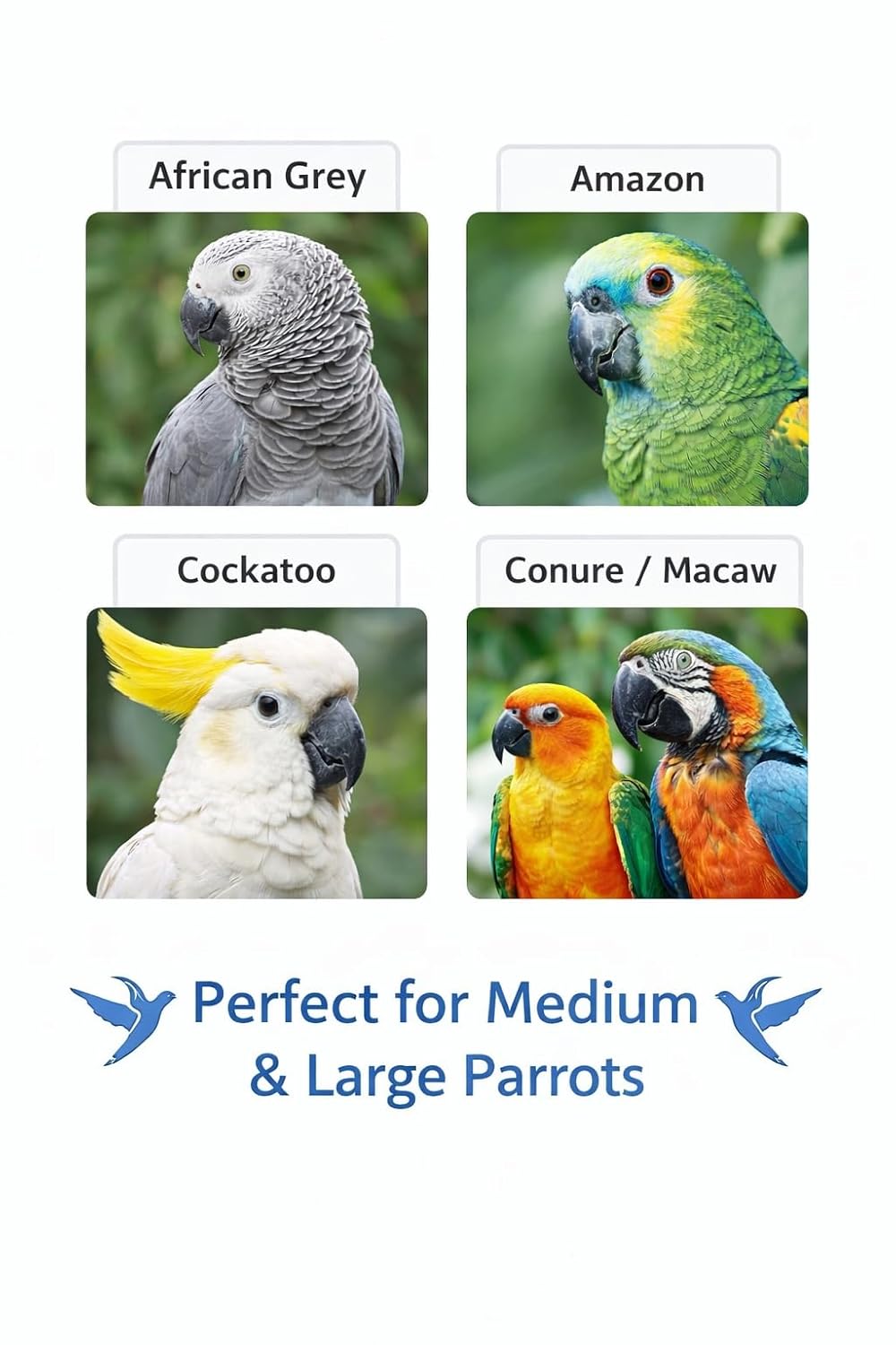 KSK Natural Jute Rope Bird Swing for Medium & Large Parrots | Strong Wooden Perch Hanging Swing Toy | Cage Accessory for African Grey, Amazon, Cockatoo, Macaw KSK ENTERPRISES