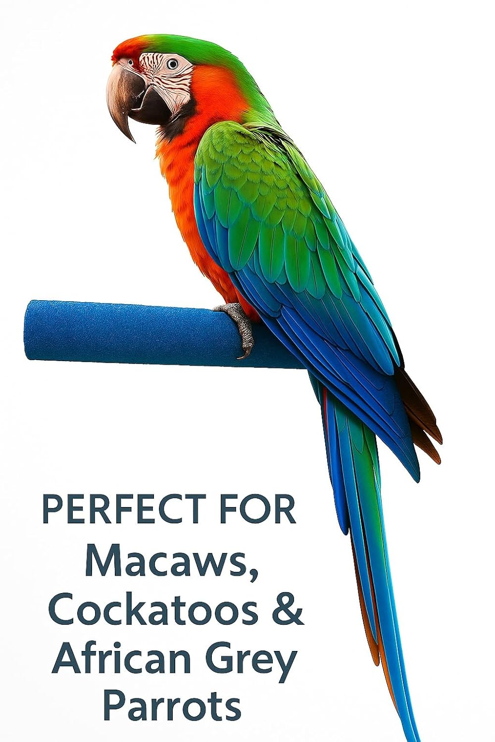 KSK Natural Sand Coated Wooden Bird Perch 12 Inch | Nail Trimming & Paw Grinding Stand for Large Parrots, African Grey, Macaw & Cockatoo Cage Accessories (Pack of 1) KSK ENTERPRISES