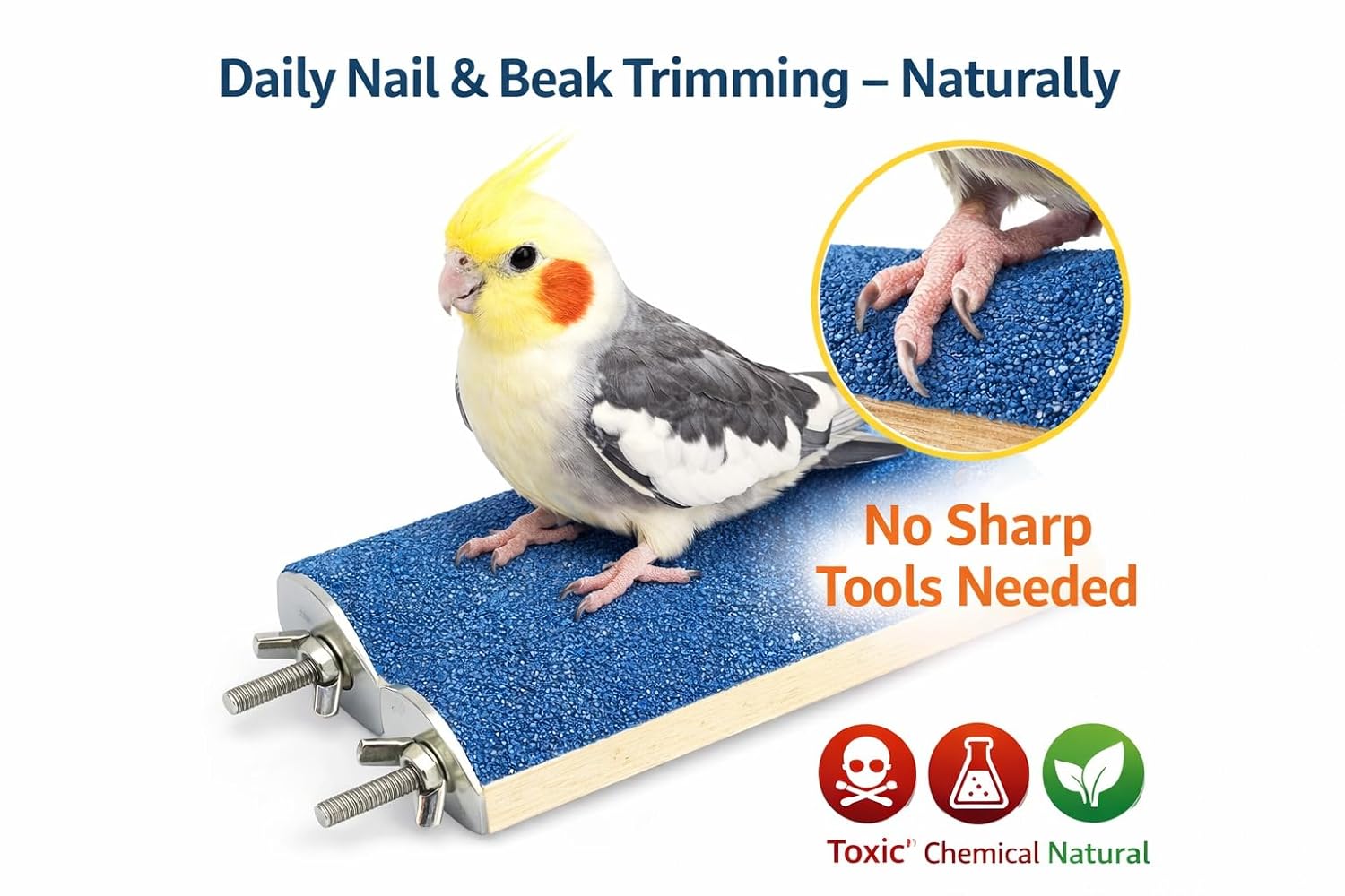 KSK Blue Sand Bird Perch for Parrots | Non-Toxic Quartz Nail & Beak Trimming Perch | Natural Wood Grinding Platform for Budgies, Cockatiel & Lovebirds (Small & Medium Birds) KSK ENTERPRISES