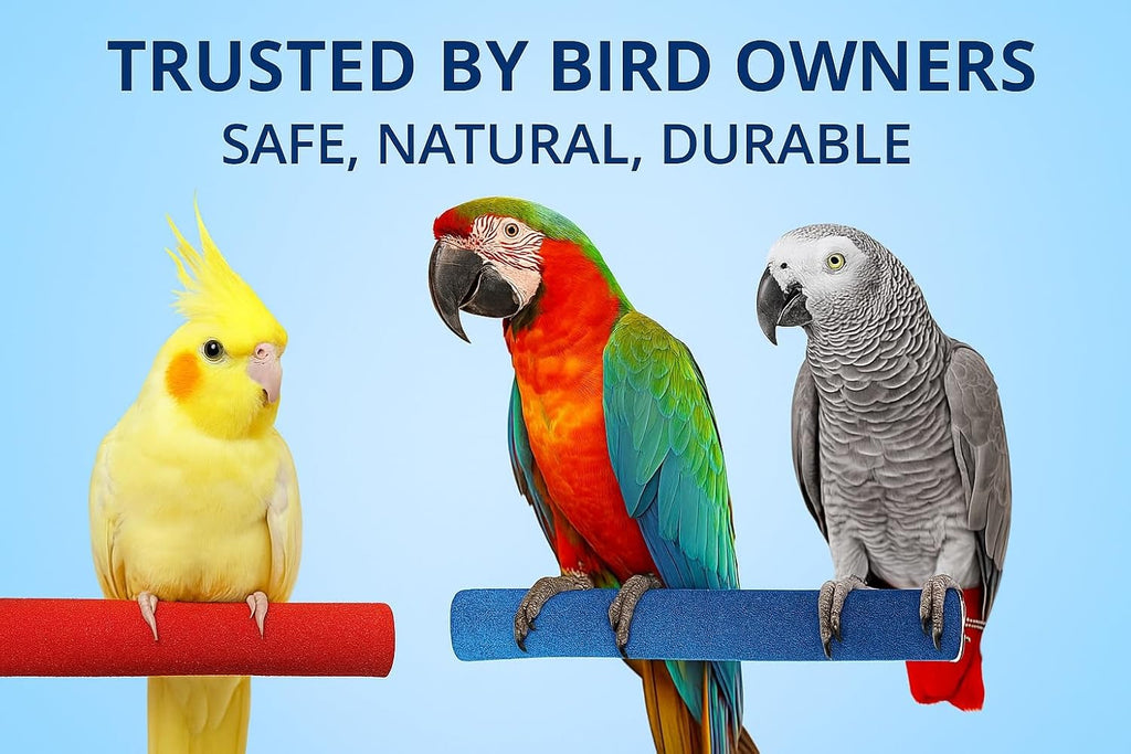 KSK Natural Sand Coated Wooden Bird Perch 12 Inch | Nail Trimming & Paw Grinding Stand for Large Parrots, African Grey, Macaw & Cockatoo Cage Accessories (Pack of 1) KSK ENTERPRISES