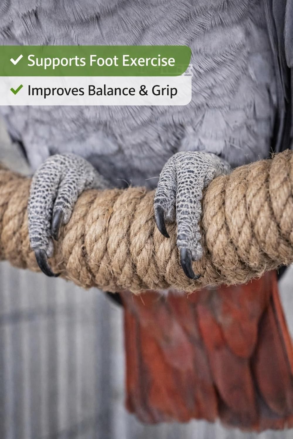 KSK Natural Jute Rope Bird Swing for Medium & Large Parrots | Strong Wooden Perch Hanging Swing Toy | Cage Accessory for African Grey, Amazon, Cockatoo, Macaw