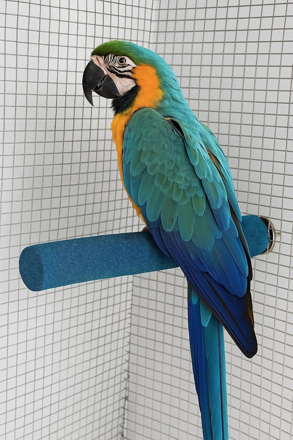 KSK Natural Sand Coated Wooden Bird Perch 12 Inch | Nail Trimming & Paw Grinding Stand for Large Parrots, African Grey, Macaw & Cockatoo Cage Accessories (Pack of 1) KSK ENTERPRISES