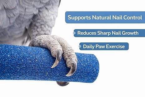 KSK Natural Wood Bird Perch 10 Inch (30mm Thick) Blue | Paw Grinding Cage Perch for African Grey, Macaw, Cockatoo & Large Parrots | Rough Grip Bird Cage Perch Rod Replacement