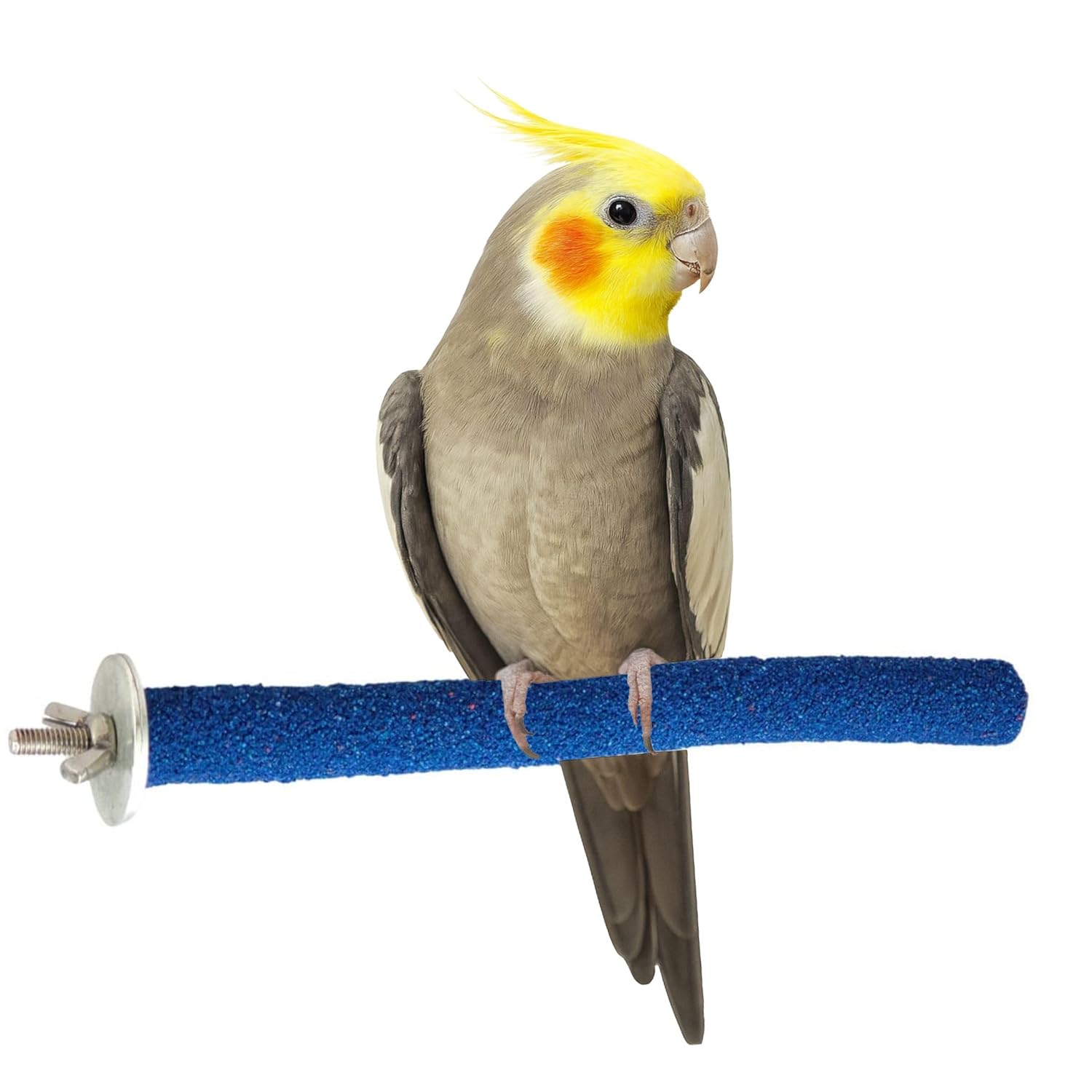 KSK 8-Inch Natural Wooden Bird Perch with Sand Coating – Round Nail Trimming Platform for Parrots, Cockatiels, Parakeets, Conures & Small Birds | Cage Accessory