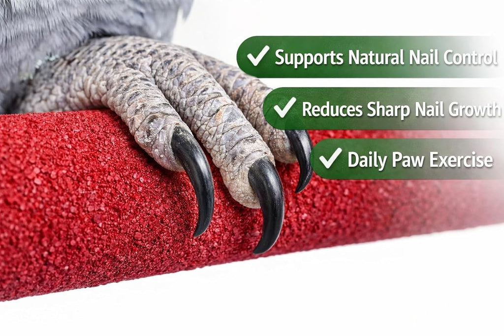KSK Natural Wood Bird Perch 10 Inch (30mm Thick) | Nail Grinding Sand Perch for Birds | Rough Grip Cage Perch for African Grey, Macaw, Cockatoo & Large Parrots | Anti-Slip Paw Exercise Perch KSK ENTERPRISES
