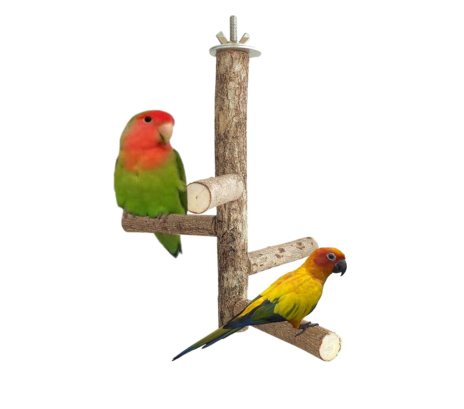 KSK 9'' Natural Wood Bird Perch Stand, Hanging Multi Branch Toys for Parrots, Parakeets Cockatiels, Conures, Love Birds, Finches