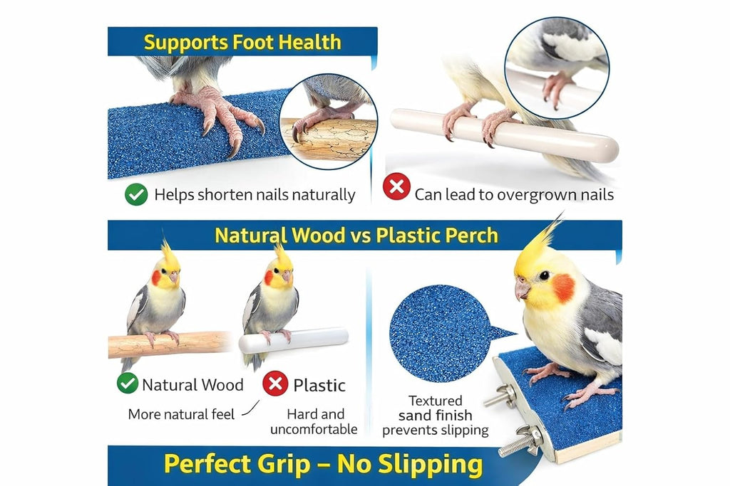 KSK Blue Sand Bird Perch for Parrots | Non-Toxic Quartz Nail & Beak Trimming Perch | Natural Wood Grinding Platform for Budgies, Cockatiel & Lovebirds (Small & Medium Birds) KSK ENTERPRISES